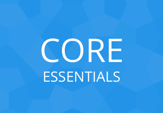 Dojo Core: The Essentials